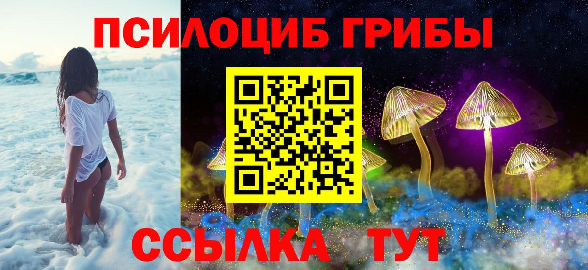 Галлюциногенные грибы Cubensis Ипатово